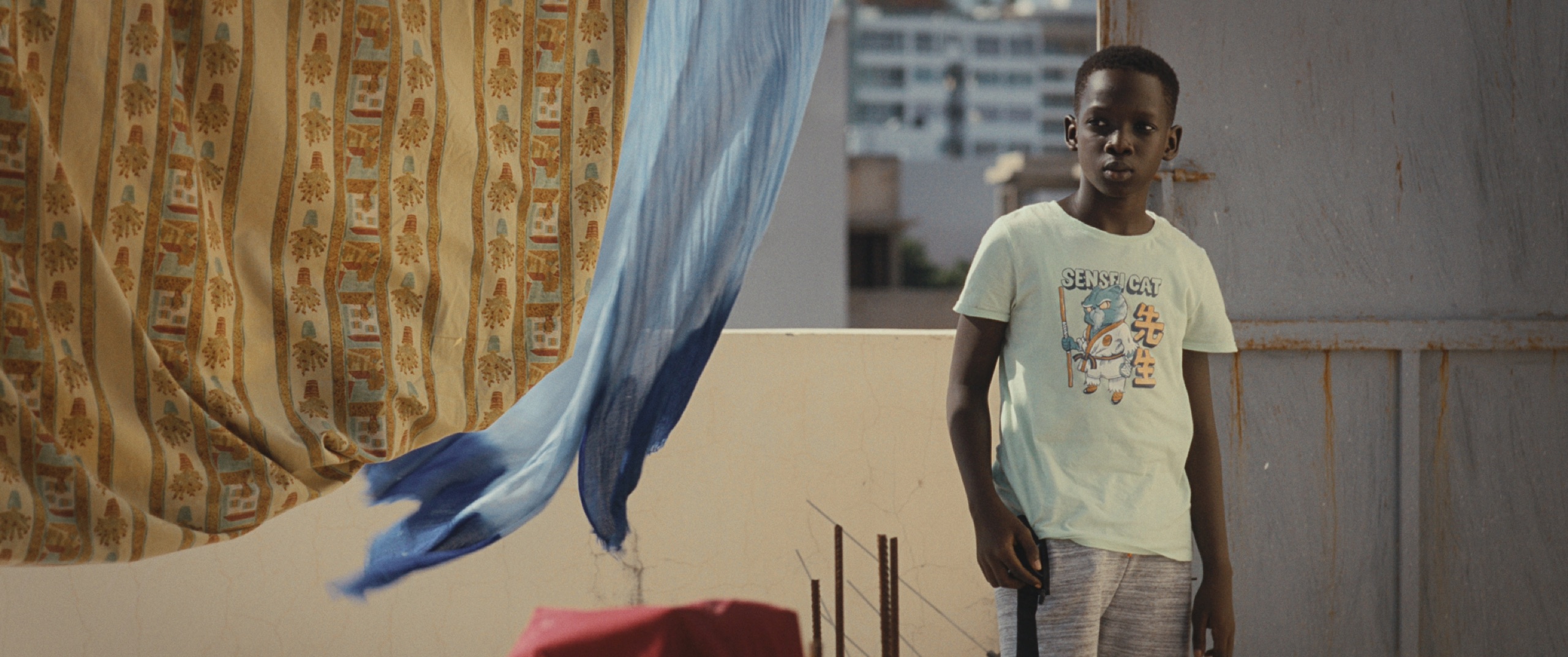 CEDDO — still 1