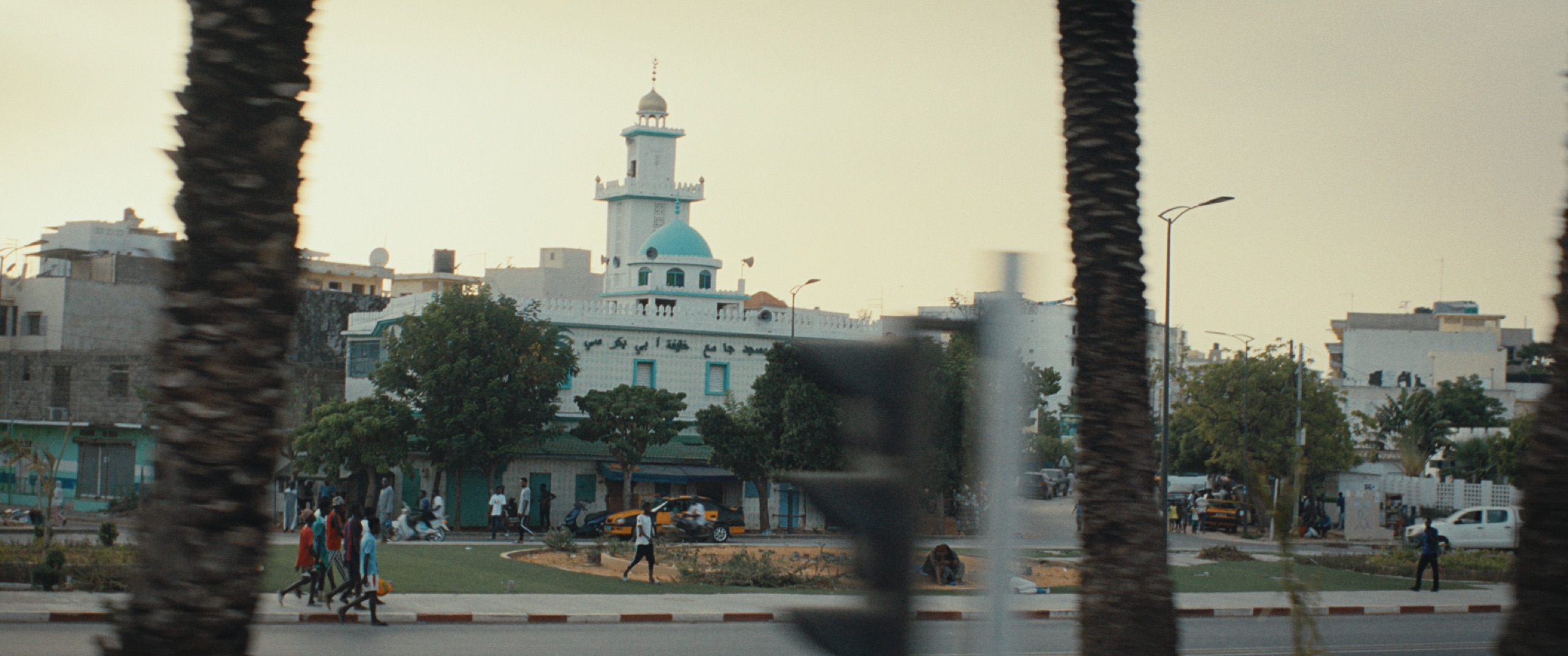 CEDDO — still 2