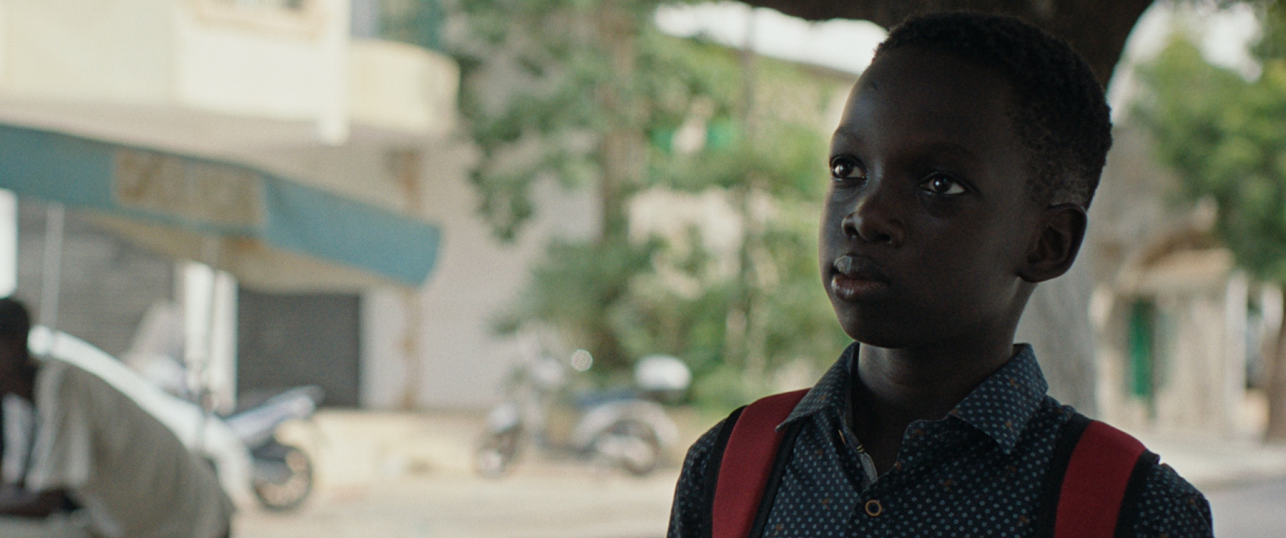 CEDDO — still 15