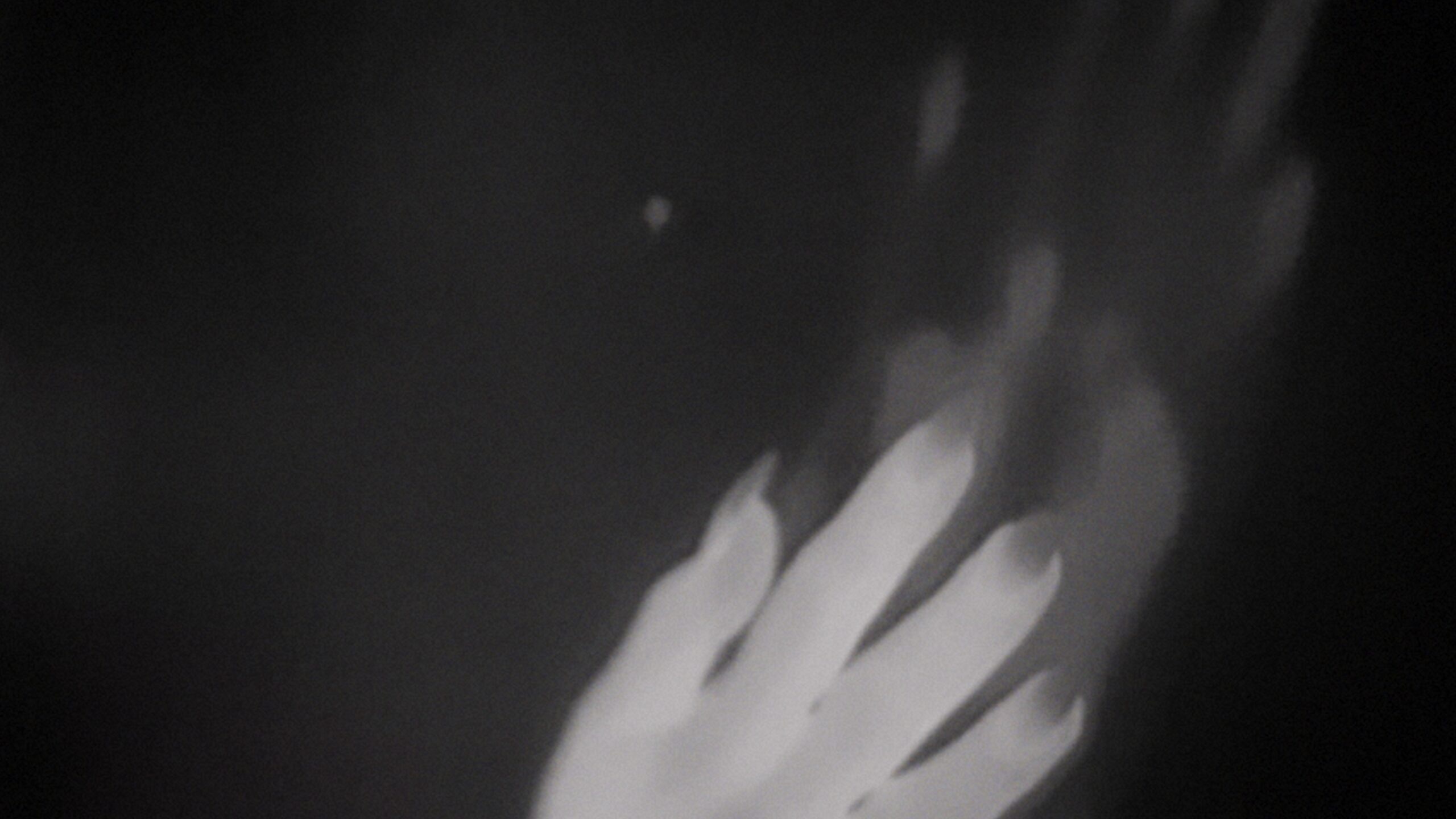 LA GRANDE DAME – DADA — still 8