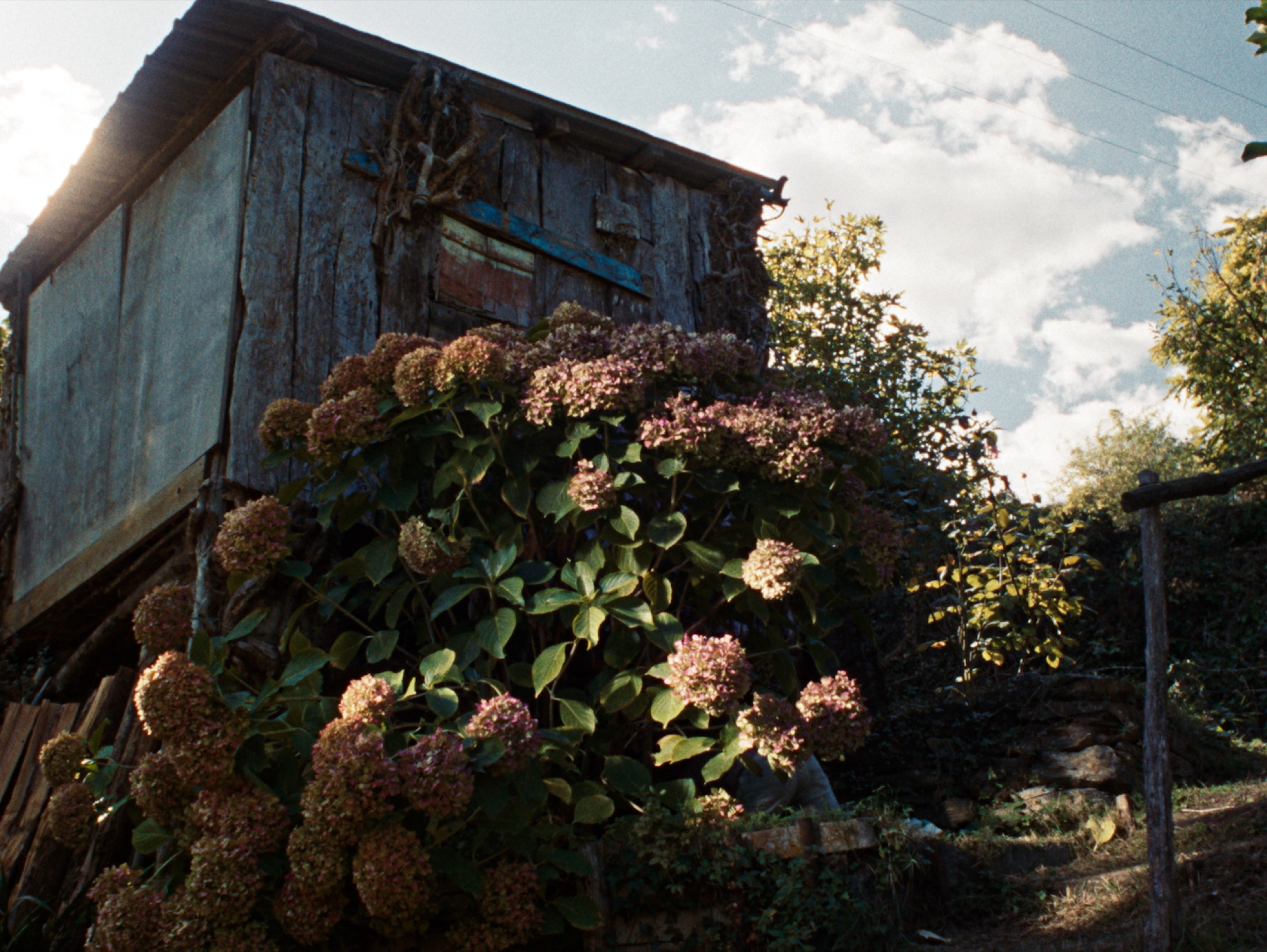 La Poule Noire — still 2