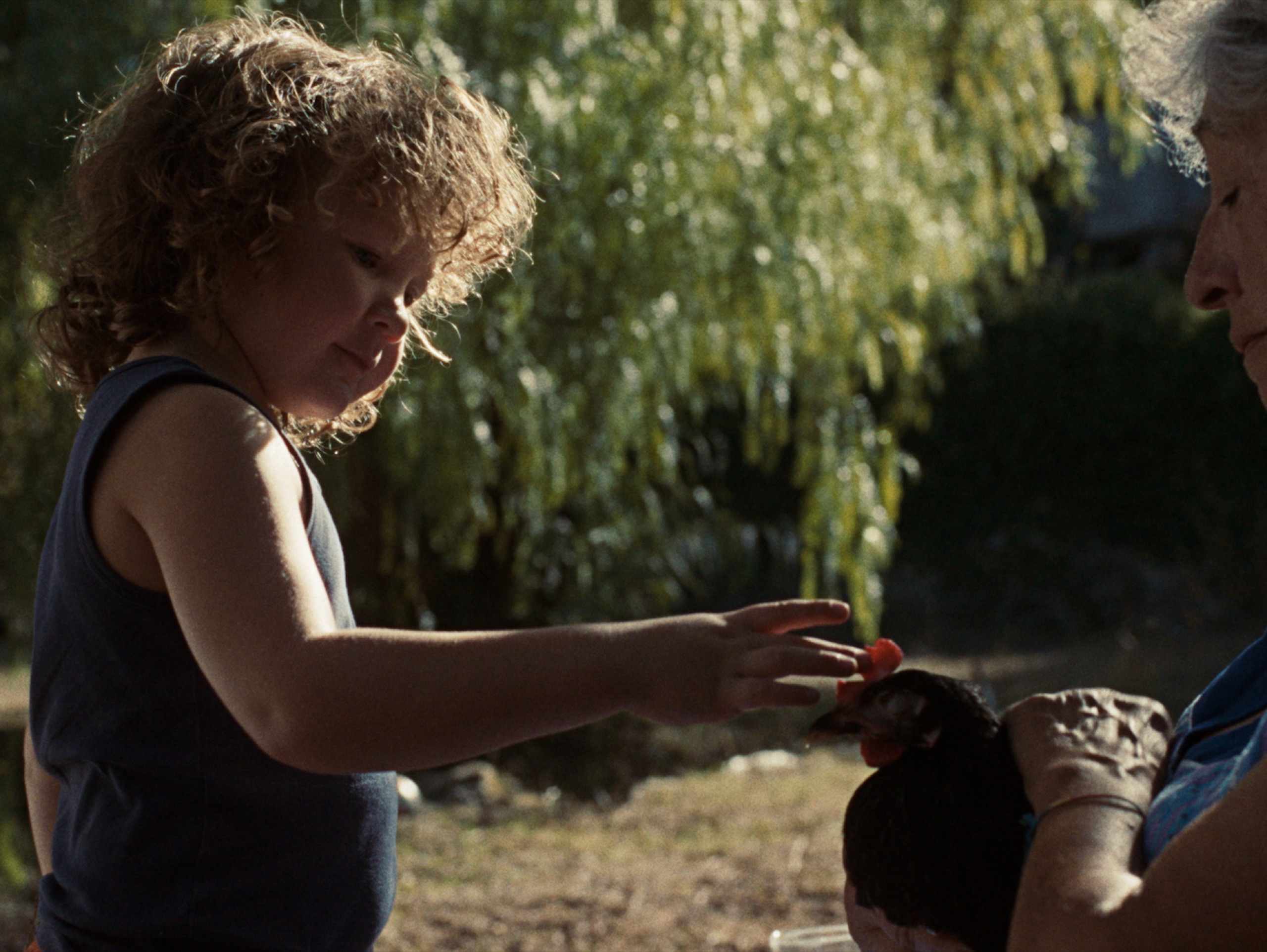 La Poule Noire — still 7